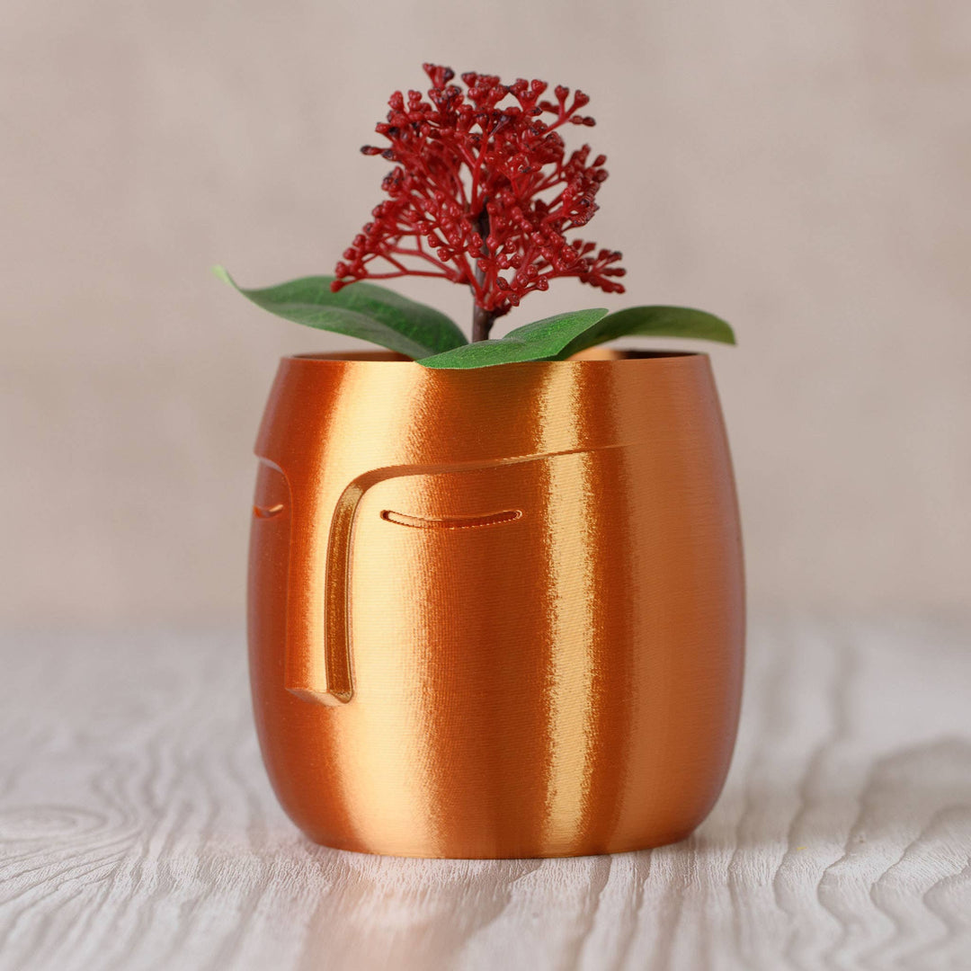 Nordic Face Pot Planter - Copper