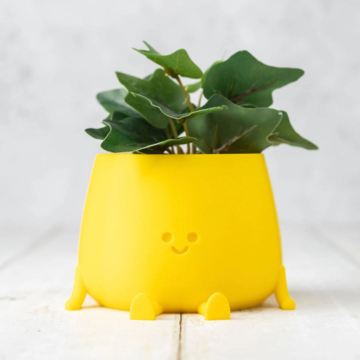 Ingadi-  The Happy Pot Planter