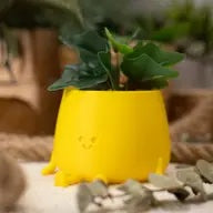 Ingadi-  The Happy Pot Planter