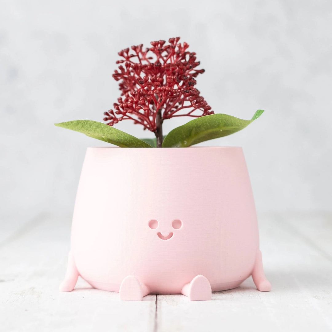 Ingadi-  The Happy Pot Planter