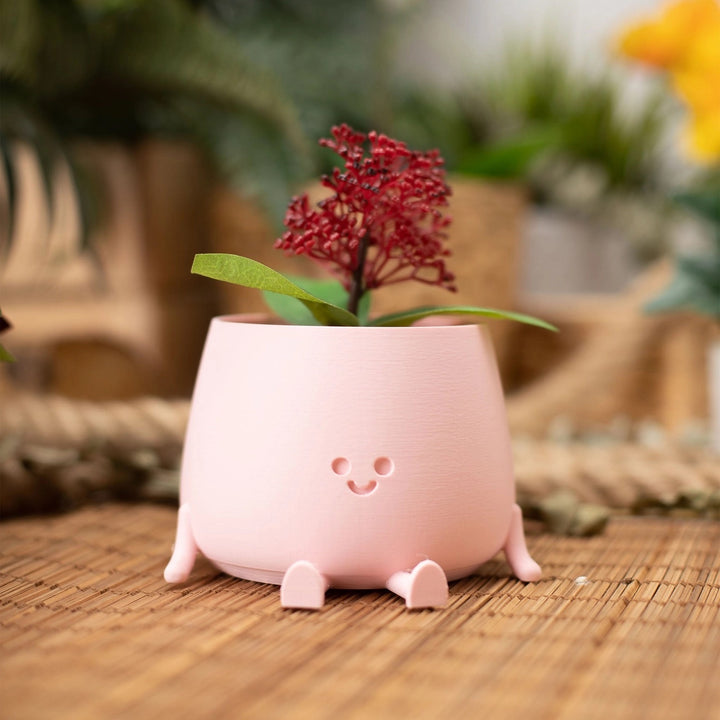 Ingadi-  The Happy Pot Planter