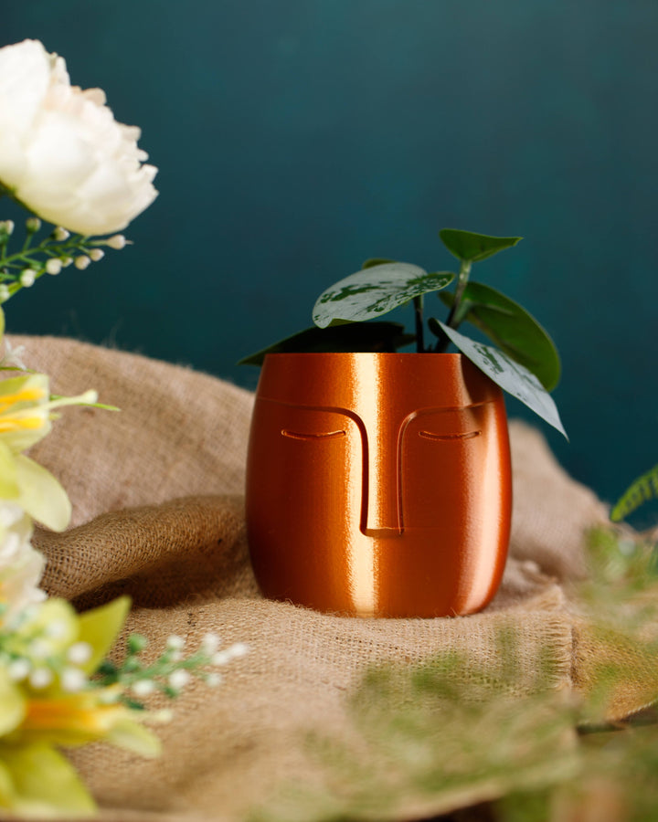 Nordic Face Pot Planter - Copper